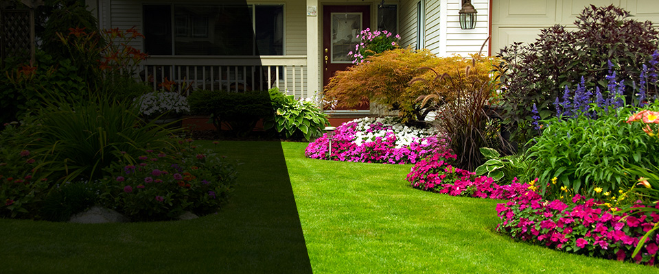 Fort Ripley Landscapers