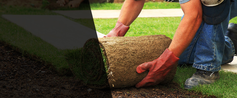 Fort Ripley Landscapers